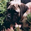 Bennett - 13 Weeks