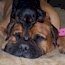 Akylah Andry - 04.5 Years - & Friend (Owned by Serena Hodson)