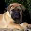 Akylah Vaylo - 14 Weeks