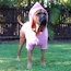 Akylah Andry - 04.5 Years (Owned by Serena Hodson)