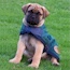 Akylah Vavara - 08 Weeks
