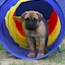 Akylah Maarken - 06 Weeks