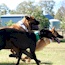Akylah Andry - 04 Years - & Friends (Owned by Serena Hodson)