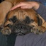 Akylah Valentino - 02 Years (Owned by Dave Evington)
