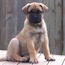 Suvi - 07.5 Weeks