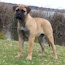 Suvi - 05 Months