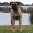 Suvi - 05 Months