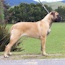 Suvi - 06 Months