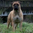 Suvi - 03 Years