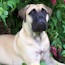 Aili - 05 Months