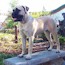 Aili - 08 Months