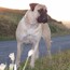 Aili - 03 Years