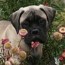 Ash - 05 Months