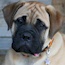 Coco - 06 Months