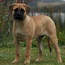 Coco - 09.5 Months