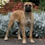 Coco - 10.5 Months