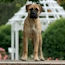 Coco - 12 Months