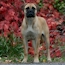 Coco - 13 Months