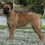 Coco - 06 Months