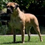 Coco - 09.5 Months