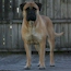 Coco - 10.5 Months
