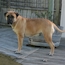Coco - 12 Months