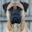 Coco - 13 Months