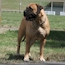 Coco - 06 Months