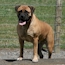 Coco - 10.5 Months