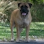 Coco - 12 Months