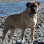 Coco - 13 Months
