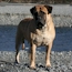 Coco - 16 Months