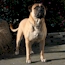 Coco - 06 Months