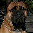 Coco - 09.5 Months
