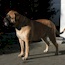 Coco - 10.5 Months