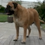 Coco - 12 Months