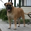 Coco - 13 Months