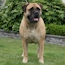 Coco - 16 Months