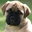 Danae - 07.5 Weeks
