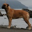 Danae - 13.5 Weeks