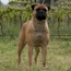 Danae - 07.5 Weeks