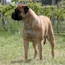 Danae - 13.5 Weeks