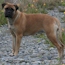 Danae - 09.5 Months