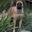 Danae - 12 Months