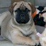 Danae - 13.5 Weeks