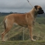 Danae - 12 Months