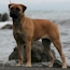 Danae - 09.5 Months
