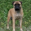 Danae - 13.5 Weeks