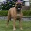 Danae - 10.5 Months