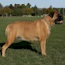 Danae - 12 Months